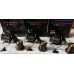 Daiwa Tournament basia 45 QDX